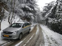 fresh-snowfall-in-srinagar